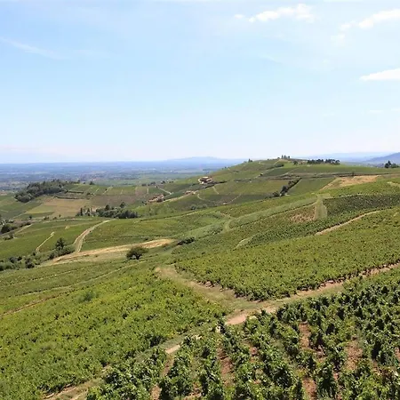 Πανσιόν Tiny House Au Coeur Du Vignoble Beaujolais Fleurie
